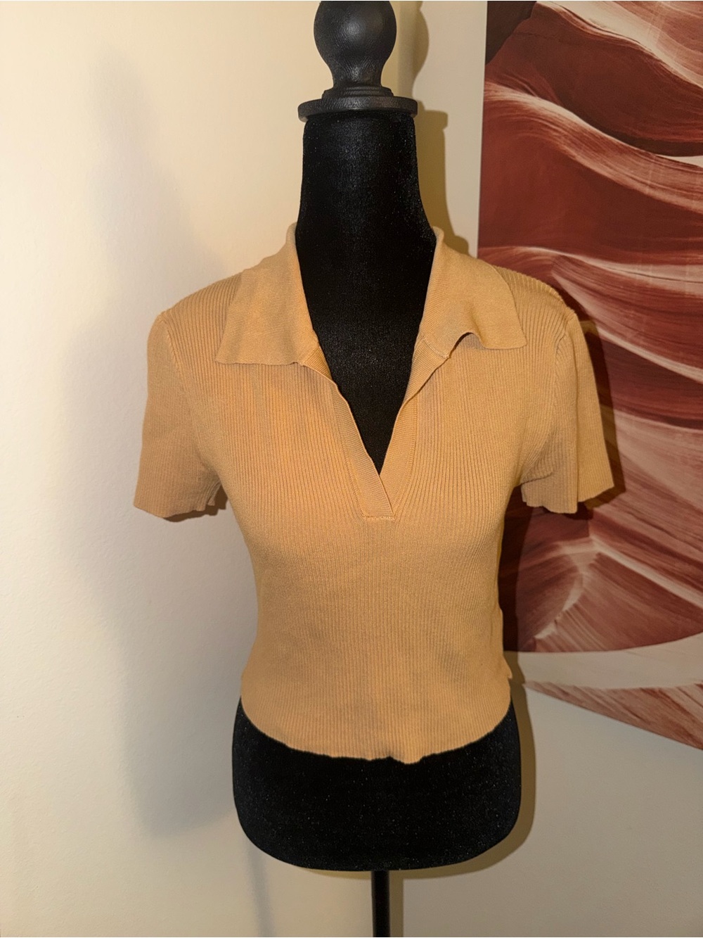 Forever 21 Ribbed Polo Crop Top in Camel/Tan